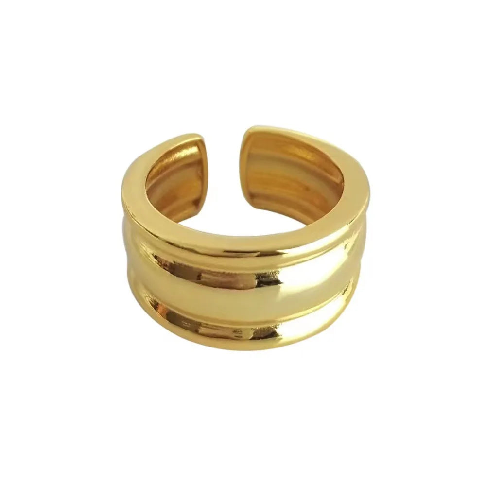 PANJBJ 925 Sterling Silver Thick Double Layer Ring for Women Girl Gift Minimalism Neutral Opening Wide Jewelry Dropshipping